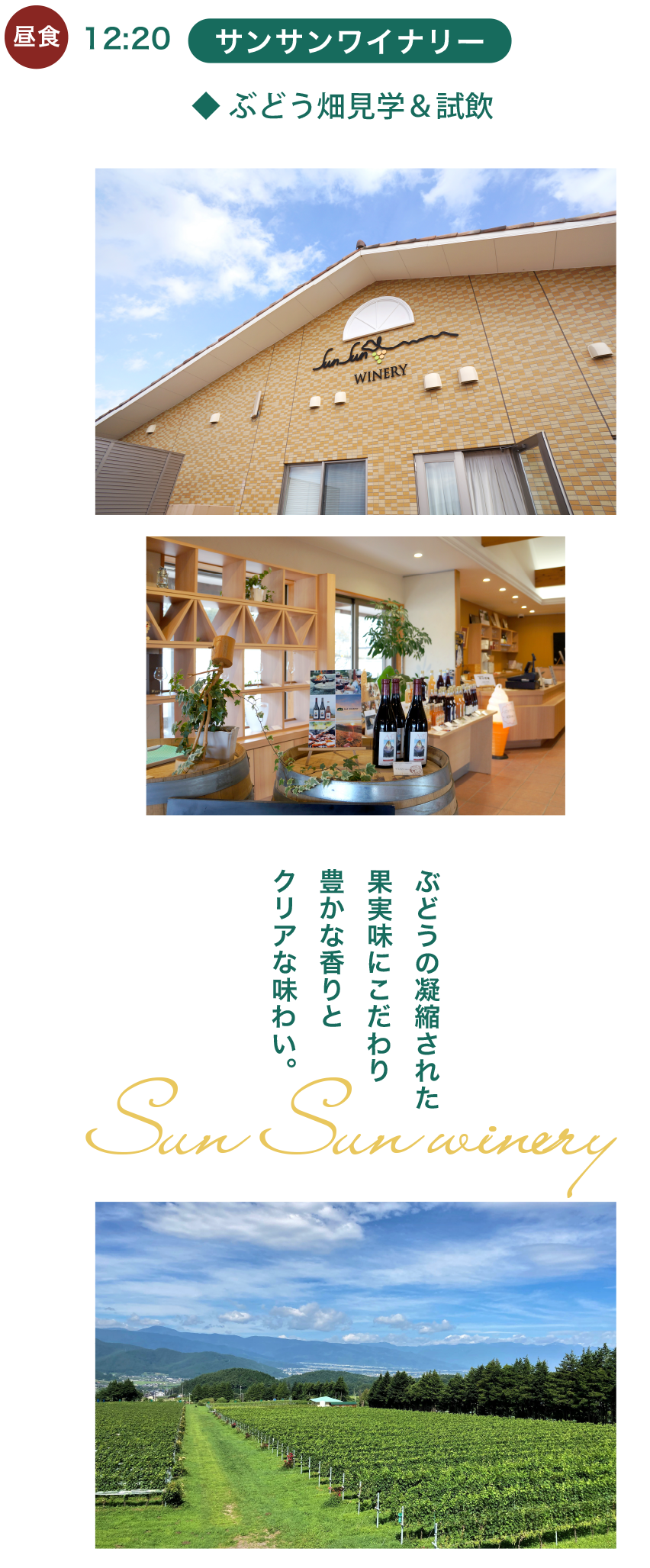 サンサンワイナリー