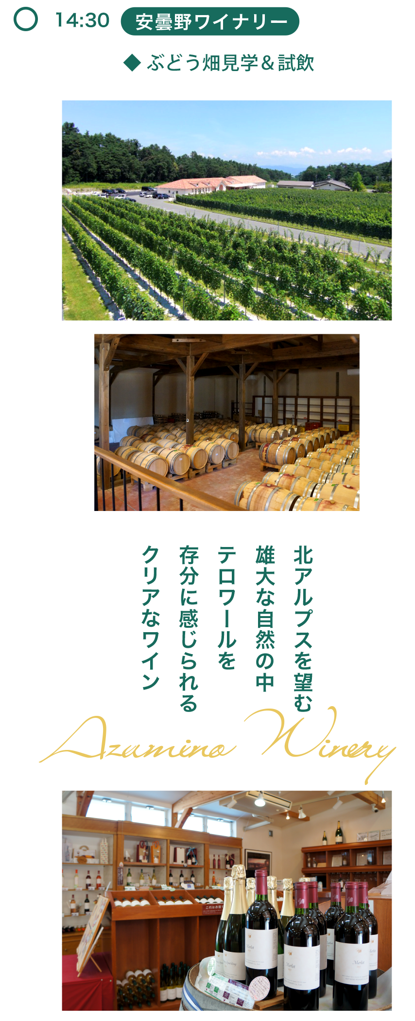 安曇野ワイナリー
